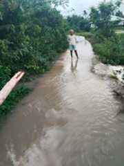 f:id:subete8suteki:20251207115920j:image