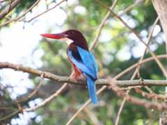 f:id:subete8suteki:20251210144639j:image