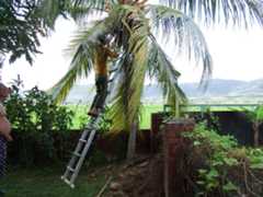 f:id:subete8suteki:20251210145021j:image