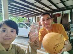 f:id:subete8suteki:20251210145102j:image