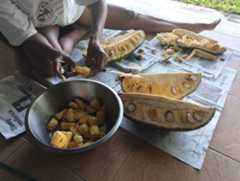 f:id:subete8suteki:20251210145226j:image