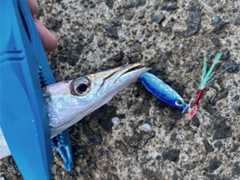 f:id:supemaru:20250901184250j:image f:id:supemaru:20250901184250j:image