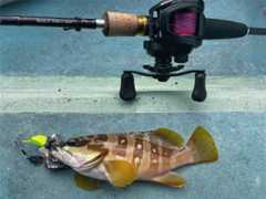 f:id:supemaru:20250908132731j:image f:id:supemaru:20250908132731j:image