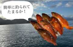 f:id:supemaru:20250911112146j:image f:id:supemaru:20250911112146j:image