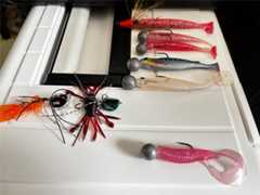 f:id:supemaru:20251005194311j:image f:id:supemaru:20251005194311j:image