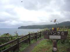 f:id:sword749:20191021220330j:plain