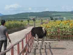 f:id:sword749:20210807224107j:plain