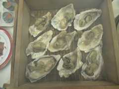 f:id:takahito0823xy:20211010140945j:plain