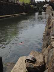 f:id:tarareba722:20160429145426j:plain f:id:tarareba722:20160429145426j:plain