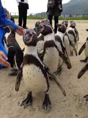 f:id:tarareba722:20160429161006j:plain f:id:tarareba722:20160429161006j:plain