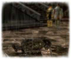 泥人形に変わるロクシアンの身体