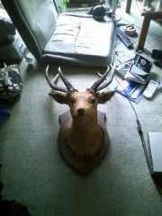 f:id:twitter2:20091124093636j:image