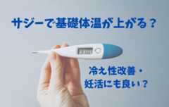 サジーで基礎体温が上がる?冷え性改善・妊活・温活にもおすすめの理由