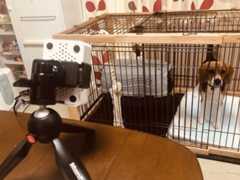 f:id:yuroyoro:20190812154310j:plain f:id:yuroyoro:20190812154310j:plain