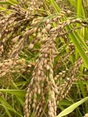 f:id:zuikei:20251002121617j:image