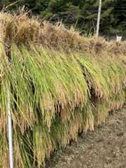 f:id:zuikei:20251002121630j:image