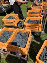 f:id:zuikei:20251002123212j:image