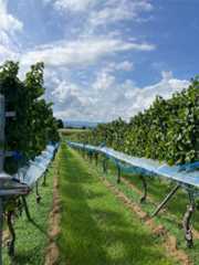 f:id:zuikei:20251002123442j:image