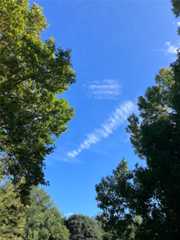 f:id:zuikei:20251007101708j:image