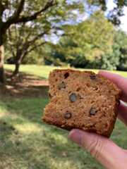 f:id:zuikei:20251007101805j:image