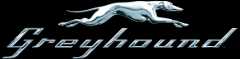greyhound logo