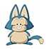 Puar