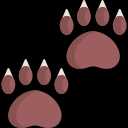 Wild animals 