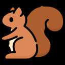 Squirrel 