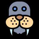 Walrus 