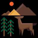 Deer 