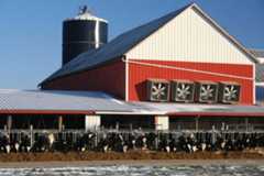 dairy farm