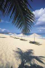 Beach chairs and umbrellas, Anguilla.