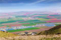 Jezreel Valley