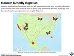 Interactive thumbnail shows an animated map of monarch butterfly seasonal migration.
