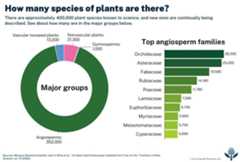 Plant diversity