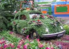 Montreal Botanical Garden