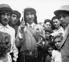 Alawite