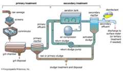 activated sludge process
