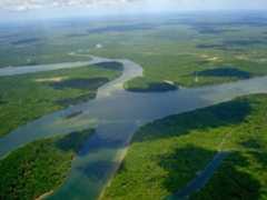 Amazon River