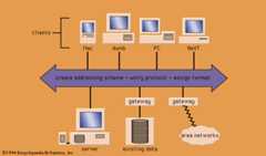 The architecture of a networked information system