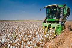 Cotton combine