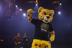 Missão não deve ter desempenho eleitoral surpreendente, diz Carlos Pereira