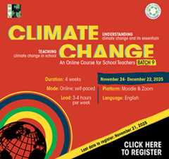 How Should the Global South Act