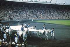 Stockholm hosted the equestrian events during the 1956 Olympics in Melbourne due to Australia's quarantine laws ©Getty Images