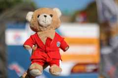 World Sambo Championship 2023 Day 1 Live blog © Sambo Federation of Armenia