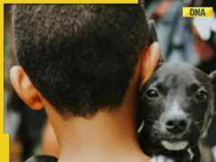 Meet 8-year-old boy, raised by dogs after being abandoned by own family, communicates by barking, he is from...