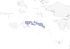 Distribution of the Seram White-eye - Range Map