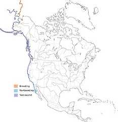 Figure 1. Distribution of the Pelagic Cormorant in North America and adjacent Siberia. - Range Map