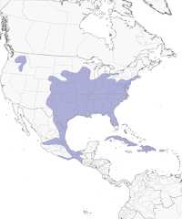Distribution of the Northern Bobwhite - Range Map