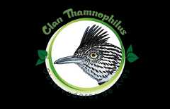 Clan Thamnophilus